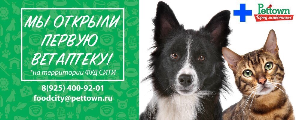 Город Животных Pettown Интернет Магазин Москва