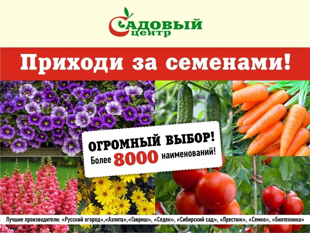 Магазин Удача Тюмень Официальный Сайт Купить Семена