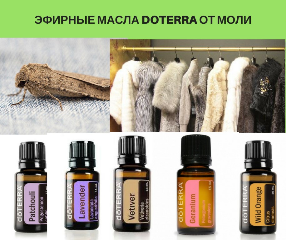 Магазин Эфирных Масел В Москве Адреса