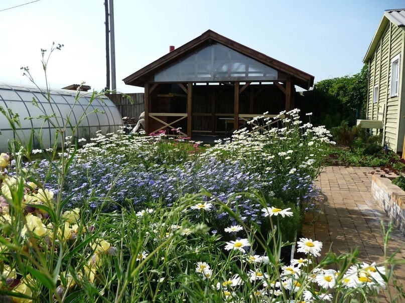 Дачная 15 фото Дачная 15 фото