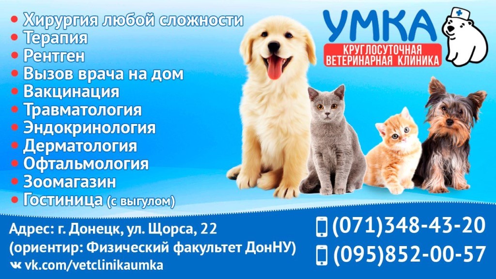 Магазин Умка Брянск Официальный Сайт