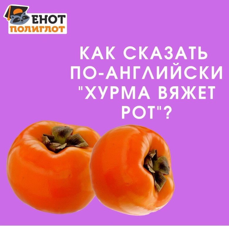 Интернет Магазин Хурма Иркутск