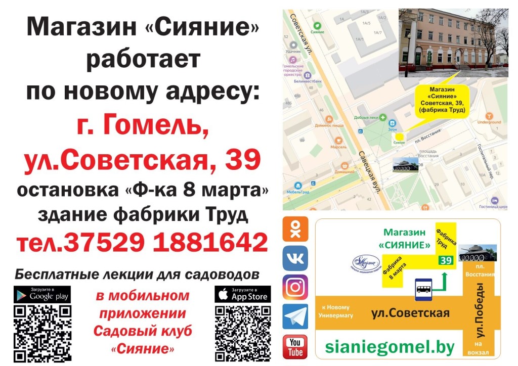 Магазин Сияние Брянск Официальный Сайт