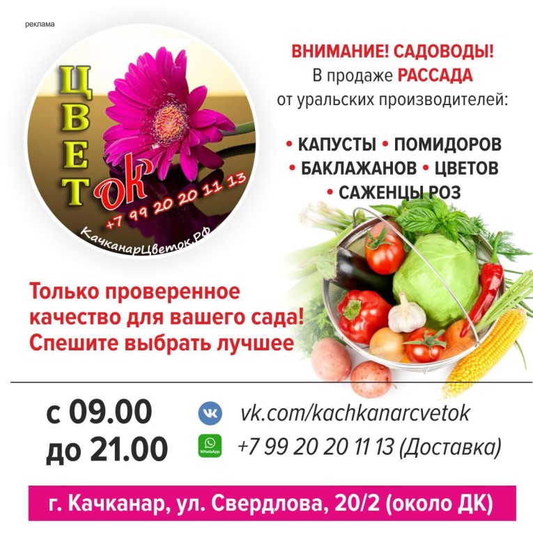 Магазин Садовод Качканар Телефон