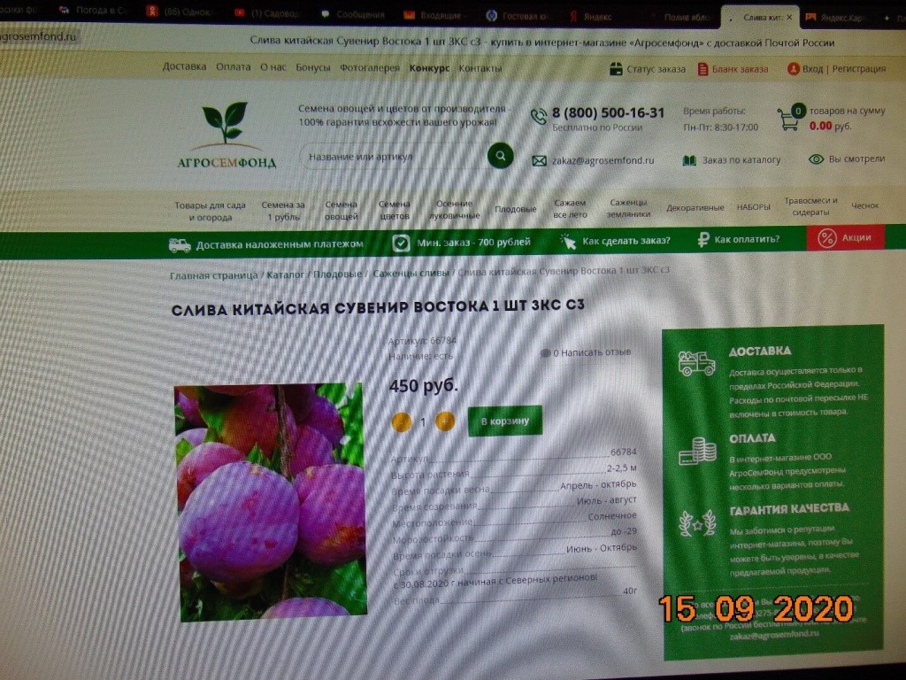 Агросемфонд Интернет Магазин Посадочных Материалов Весна