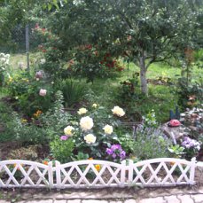 image?t=52&bid=803112898496&id=803112898